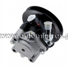 Power steering pumps