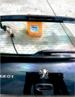 back door  Peugeot 307