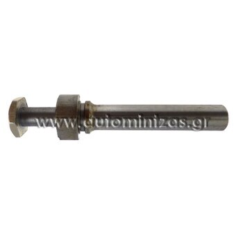 Brake caliper screw
