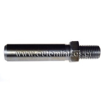 Brake caliper screw