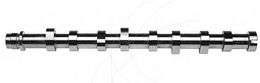 Camshaft