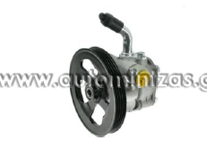 Power steering pumps