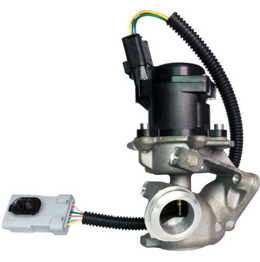 EGR valve