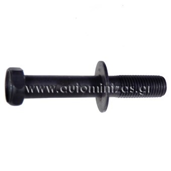 Brake caliper screw