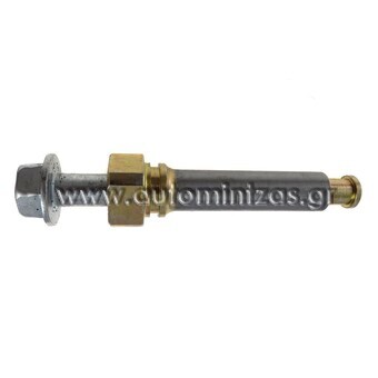 Brake caliper screw
