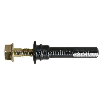 Brake caliper screw