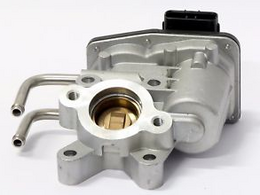 EGR valve