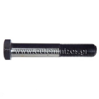 Brake caliper screw