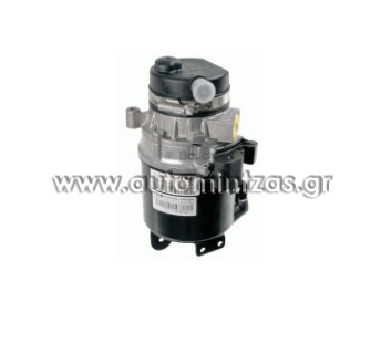 Power steering pumps