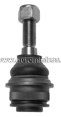 Μπαλάκια ψαλλιδιών VOLKSWAGEN   TC526, 27-01061, SS900, 10577, FBJ5281, FL583-D, 032299034617, 1015503, 19868, 6-107, 1160107192, VSJ703, 915476, 925490, BJ0184, 16859, 701407187, 701407187A, 701407187B
