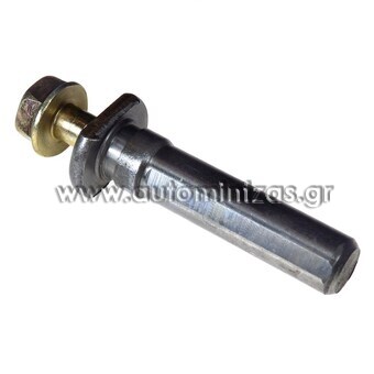 Brake caliper screw