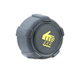 Radiator cap